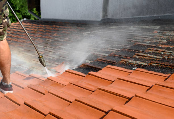 Best Local Pressure Washing Services  in Timberwood Park, TX